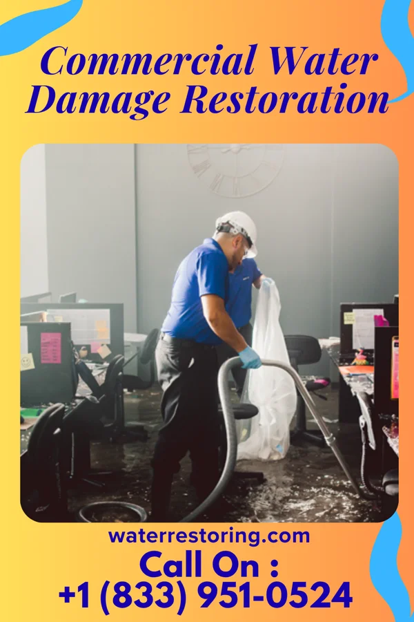 Commercial Water Damage Restoration in Nespelem Community, WA
